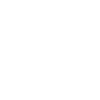 Secure icon